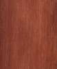 Palissandre de Madagascar.jpeg  1.06 Mo