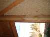 DSC00074.JPG  1.12 Mo