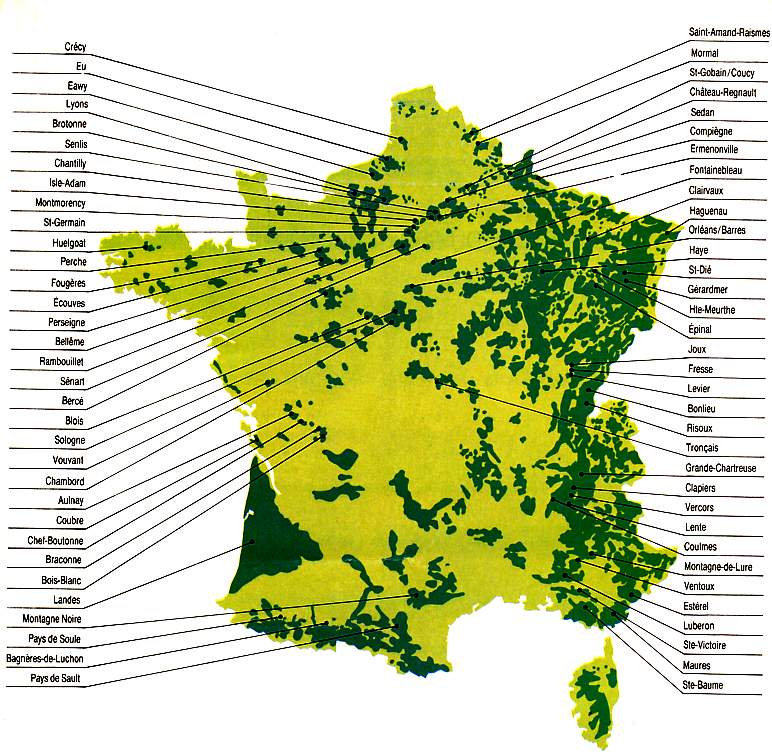 foret01.JPG