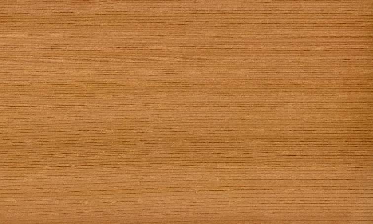 red cedar.JPG