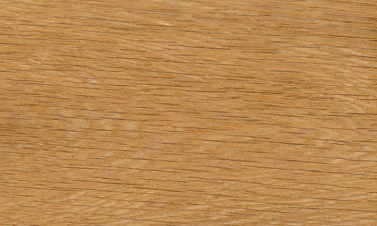 white oak U.S.JPG
