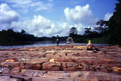 gabon1.JPG