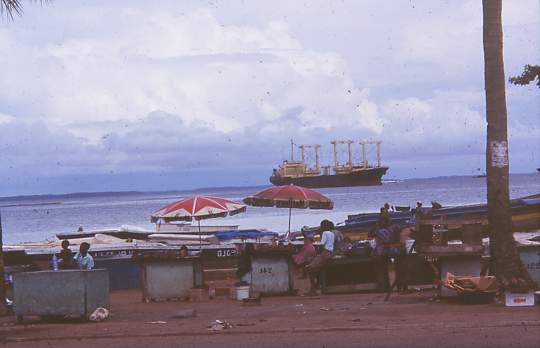 gabon3.JPG