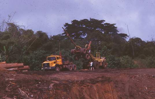 gabon5.JPG