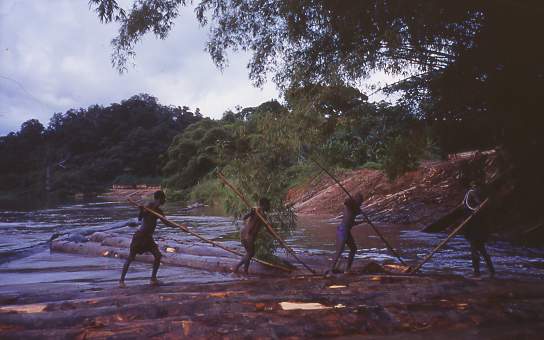 gabon7.JPG