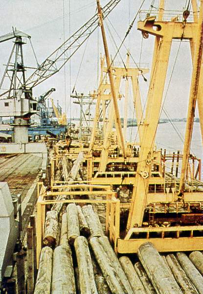 Image-25.JPG