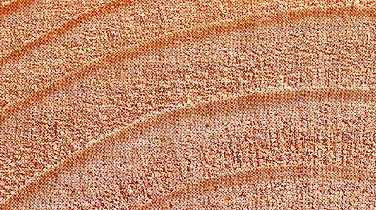 Image-01.JPG