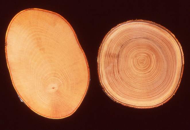 Image-86.JPG