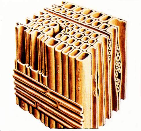 structure02.JPG