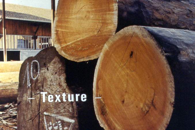 texture01.JPG